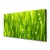 tulup.si Slika na platnu Grass nature rastlin 120x60 cm