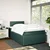Vidaxl Box spring postelja z vzmetnico temno zelena 120x200 cm žamet