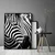 shumee PLAKAT ZA SLIKE V OKVIRJU 43x33 cm Zebra 7 P578