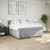Vidaxl Box spring postelja z vzmetnico svetlo siva 200x200 cm blago
