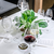 Kozarec za rdeče vino ARABESQUE, set 2, 810 ml, prozoren, Spiegelau
