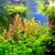 JBL PROFLORA Ferropol 100 ml - Akvarijski pesek