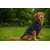 Paws & Whiskers Odelo za pse Navyraincoat, Vodootporno, Teget