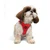 Paws & Whiskers Am za pse Air-Mesh, Crveni