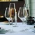 Kozarec za šampanjec CABERNET, set 6 kosov, 290 ml, Holmegaard