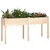 Sadilica s oblogom 161 x 45 x 76 cm od masivne jelovine