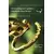 Sevanda Outlaw Urethral Sounding Chastity Cage Gold