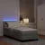 Vidaxl LED Box Spring Postelja Svetlo siva 80 x 200 cm Žamet