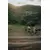 VAN RYSEL Zeleni gravel bicikl AF DISCOVER M