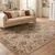 Bež preproga 120x160 cm Raja – Asiatic Carpets