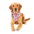 13TH DOG Marama za psa Flamingo Bandana M roze