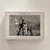 WALLXPERT Puzzle PZL_071_500