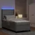 Vidaxl LED Box Spring Postelja Svetlo siva 90 x 190 cm blago