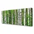 tulup.si Slika na platnu Narava rastlin forest trees 125x50 cm