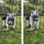 Rebel Modularni kavez ogradica za pse Animals RA-1206, 80x60 cm, Crni