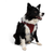 Paws & Whiskers Am za pse Air-Mesh, Bordo