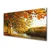 tulup.si Slika na steklu Tree lake nature 140x70 cm 2 obešalnika