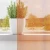 vidaXL Voile zavese z vponkami 2 kosa oranžna 140x260 cm
