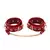 Kiotos BDSM Deluxe 5 Item Kit Red