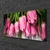 tulup.si Slika na platnu Tulipani na wall 100x50 cm
