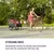 KLARFIT   (BCT1-HUSKYRACE-RED)
