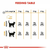 Royal Canin Suva hrana za odrasle mačke Hair & Skin 30 - 400gr.