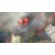 PS4 World of Final Fantasy RPG