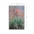 Wallity Slika na platnu 45x70cm