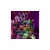 CrystaLynx Dragons velik velik upogljiv Zmaj Spectris 60 cm