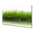 tulup.si Steklena slika Grass nature rastlin 120x60 cm 2 obešalnika