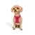Paws & Whiskers Am za pse Air-Mesh, Roze