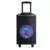 Xplore prenosni sistem karaoke xp8800  PACHA 2
