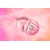 Wet n Wild Puder u prahu Photo Focus Loose Setting, Soft pink, 20g