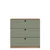 Hanah Home komoda Lucas 1600-238, 80 cm, orah / zelena