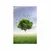 Plakat samotno drevo na travniku - 40x60 white