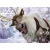Ravensburger Slagalica Frozen, 12/16/20/24 dela
