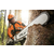 STIHL MS 661 Benzinska Motorna testera
