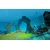 PS5 Dolphin Spirit: Ocean Mission