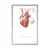 Plakat s paspartujem srce s citatom - 20x30 white