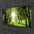 tulup.si Slika na steklu Sun forest narava pot 120x60 cm 2 obešalnika