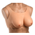 Master Series Perky Pair D-Cup Silicone Breasts