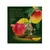 Curtis Delicate Mango - Zeleni čaj sa mangom, ananasom i laticama cveća, 20x1.8g 1516703