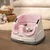 INGENUITY 2 U 1 Booster hranilica za bebe Peony