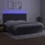 vidaXL Box spring postelja z vzmetnico LED temno siva 200x200 cm žamet