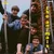 posneti mediji ANIMALS - LP/ANIMALS, (21602770)