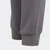 adidas Hlače ENT22 SW PNTY