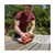 Black & Decker brusilica vibraciona ( BEW220 )
