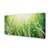 tulup.si Slika na platnu Grass sonce kapljice 140x70 cm