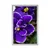 Plakat vijolica - 20x30 no frame