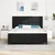 LED Box Spring Krevet s uzglavljem Crna 180 x 200 cm tkanina